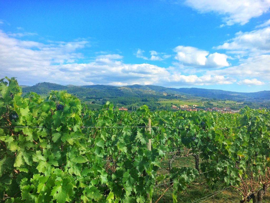 Chianti, Tuscany, Italy road trip