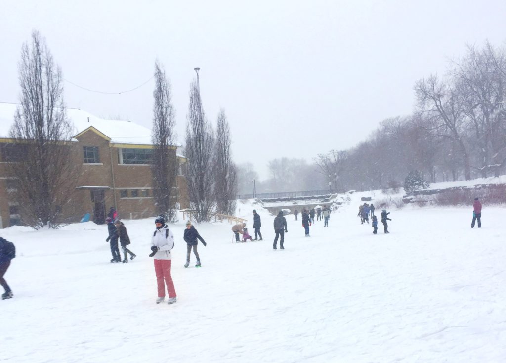 Skaters in La Fontaine Park, Montreal