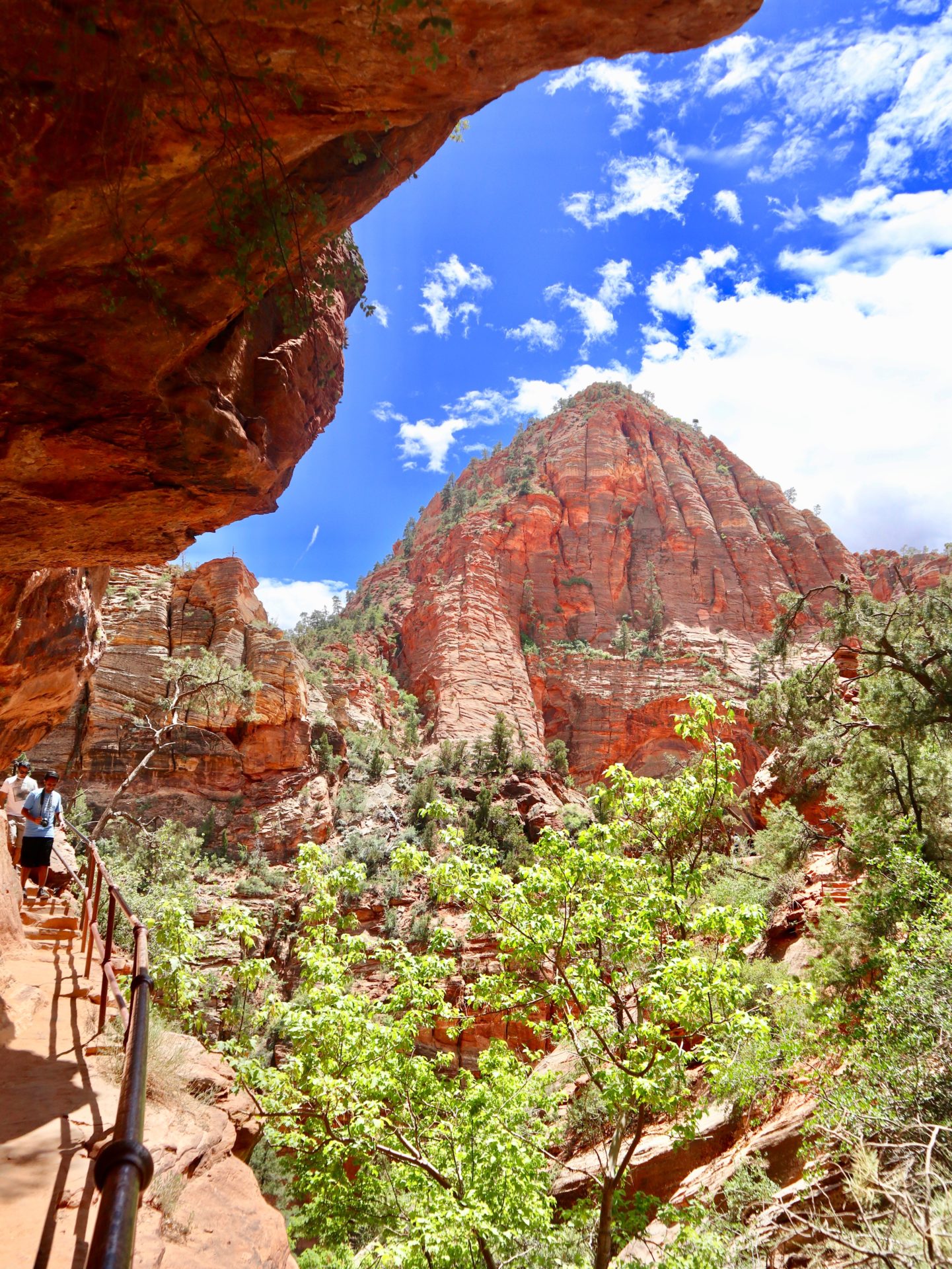 Canyon Overlook Trail, Zion National Park