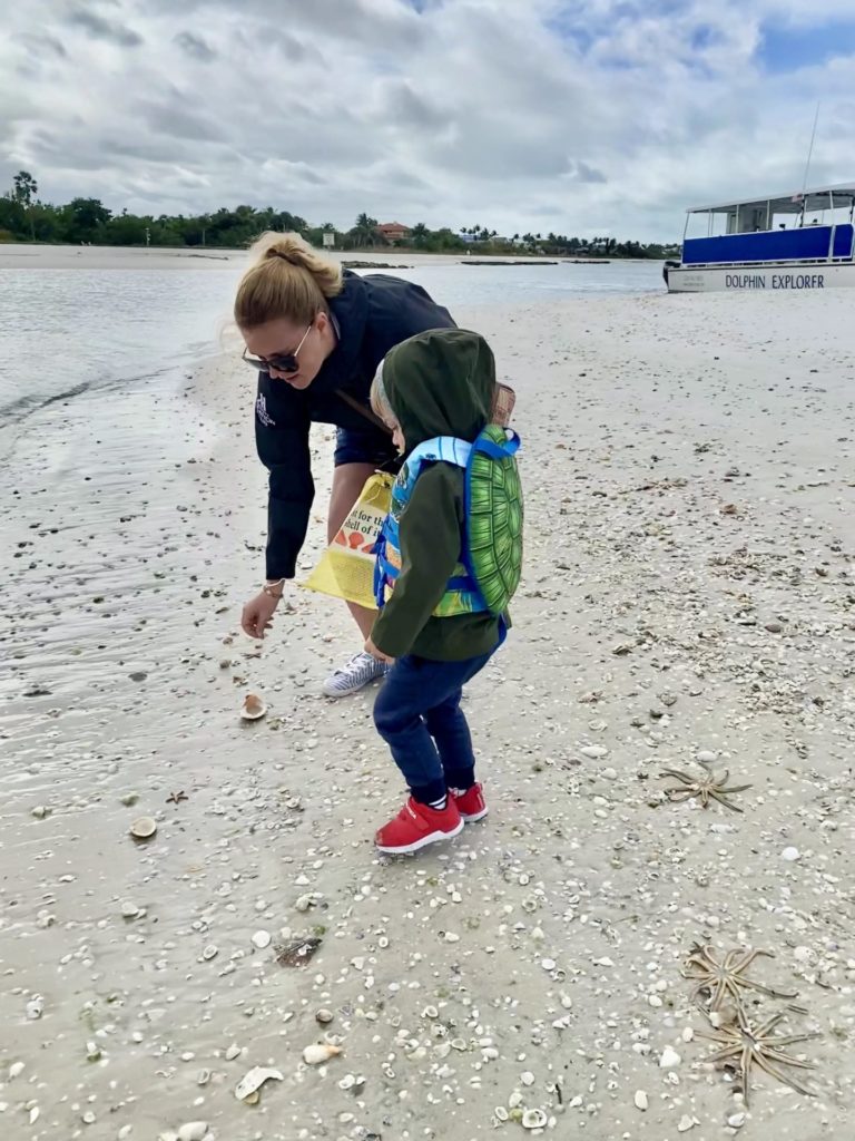 Dolphin Explorer Marco Island FL