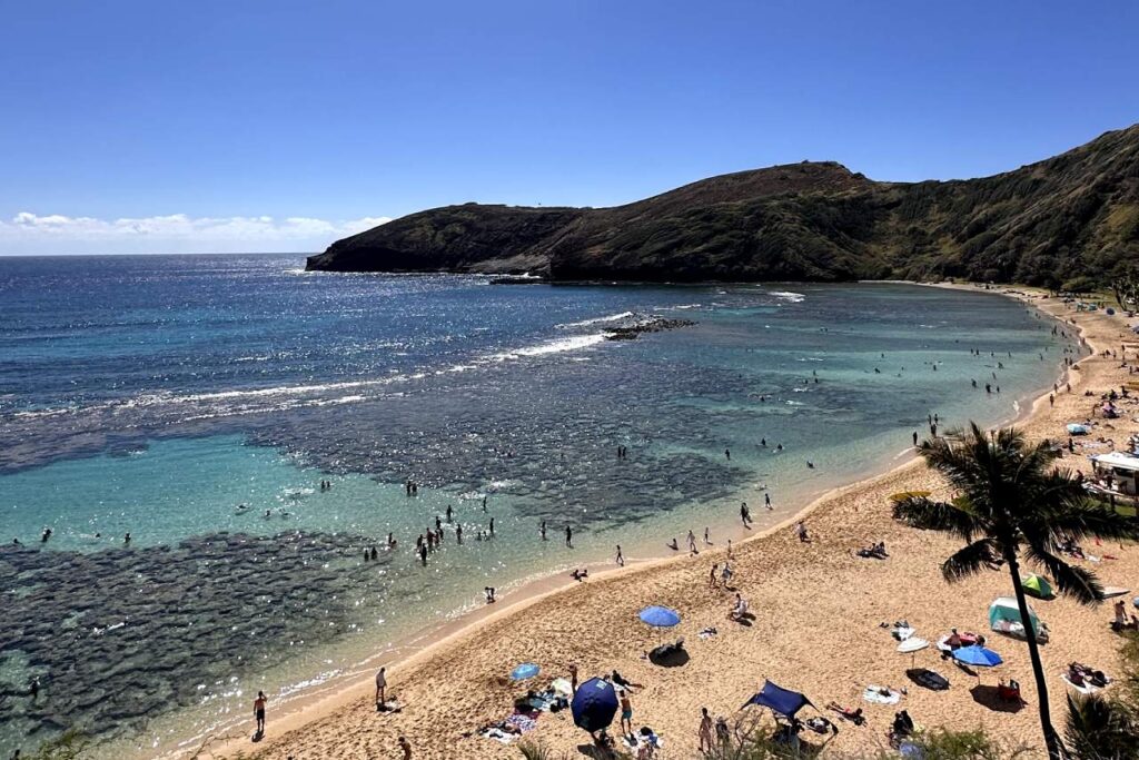 A panoramic view of Hanauma Bay in Oahu, Hawaii, showing the turquoise waters with visible coral reefs, numerous swimmers in the water, and a sandy beach with people relaxing under umbrellas and palm trees, all under a bright blue sky.