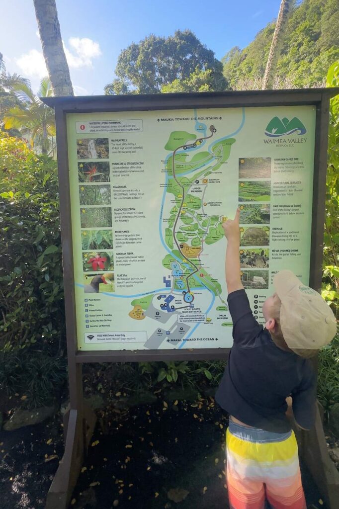 A young boy in a cap and colorful shorts points at a detailed map of Waimea Valley in Oahu, Hawaii, which includes trails, landmarks, and information.