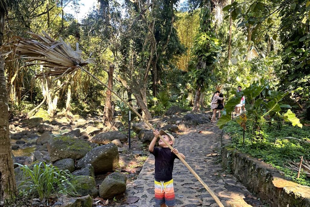 A young boy playfully holds a large dried palm frond while walking along a stone path surrounded by lush greenery and large rocks, with other visitors exploring the tropical landscape of Waimea Valley in the background.