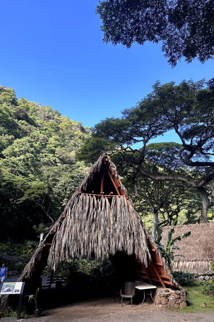 A thatched-roof structure with an open entrance stands in the foreground, surrounded by green trees, under a clear blue sky in Waimea Valley in Oahu, Hawaii.