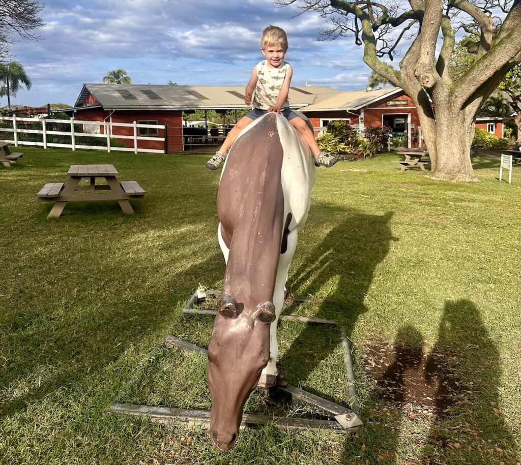 A young boy sits smiling on a life-sized brown and white horse statue on the grass at Kualoa Ranch, with trees and buildings in the background. Oahu, Hawaii