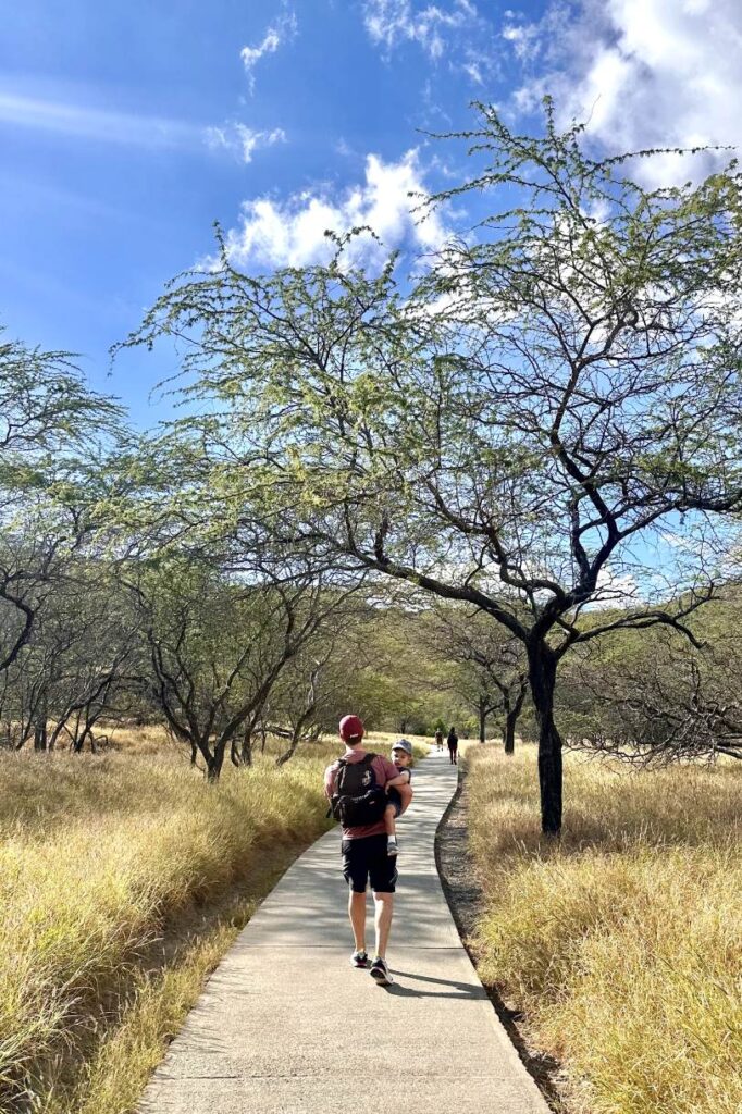 A man is carrying a young child while walking on a paved trail surrounded by trees and tall grass under a bright blue sky on the Diamond Head hike in Oahu.