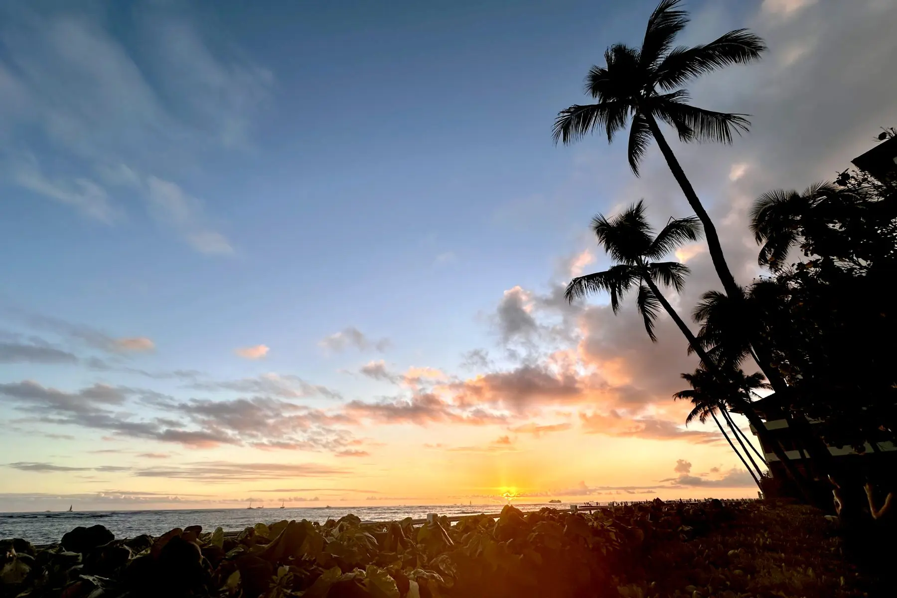 A beautiful sunset over the ocean with palm trees silhouetted against the colorful sky. Oahu, Hawaii.