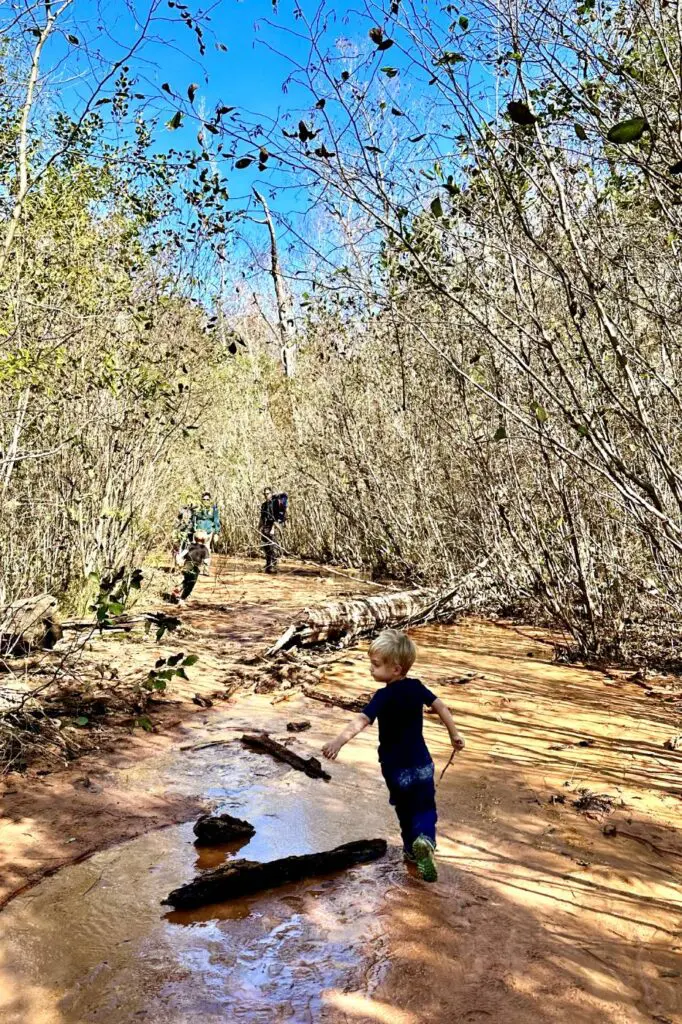 A young child is walking along a muddy, water-filled trail at Providence Canyon in Georgia.