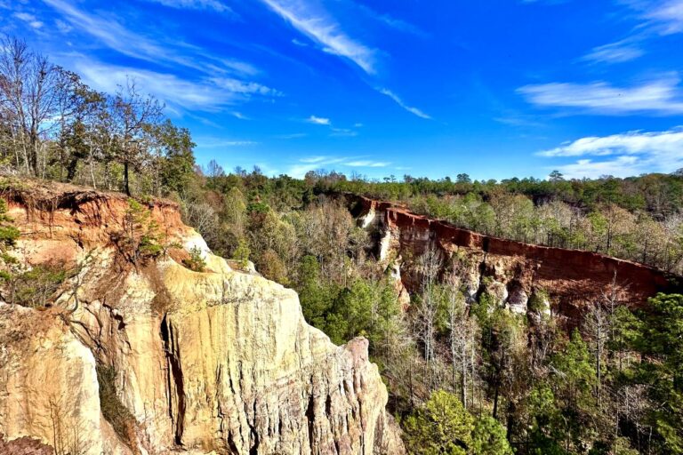 A stunning view of Providence Canyon shows steep cliffs with red and tan layers, surrounded by dense trees and a bright blue sky with scattered clouds.