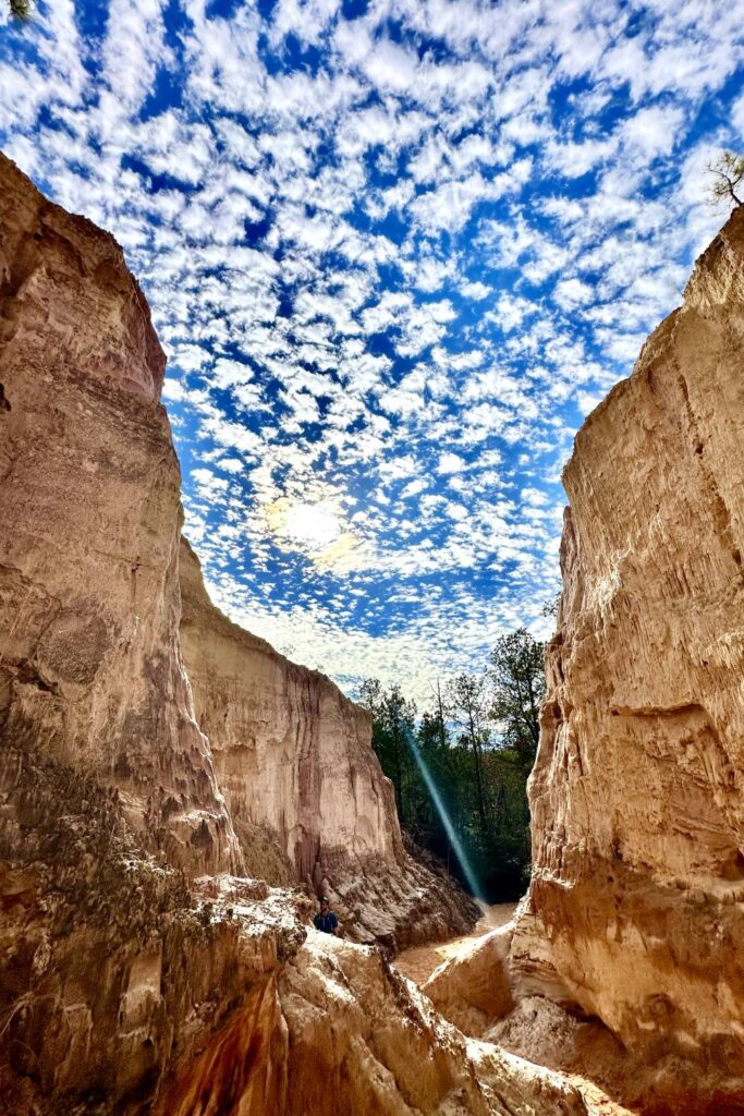 Tall canyon walls rise on both sides, fluffy clouds fill the bright blue sky above. Providence Canyon, Georgia