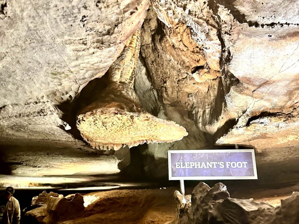 A rock formation inside the cave resembling an elephant's foot, with a sign next to it labeled "Elephant's Foot." Ruby Falls in Chattanooga, Tennessee