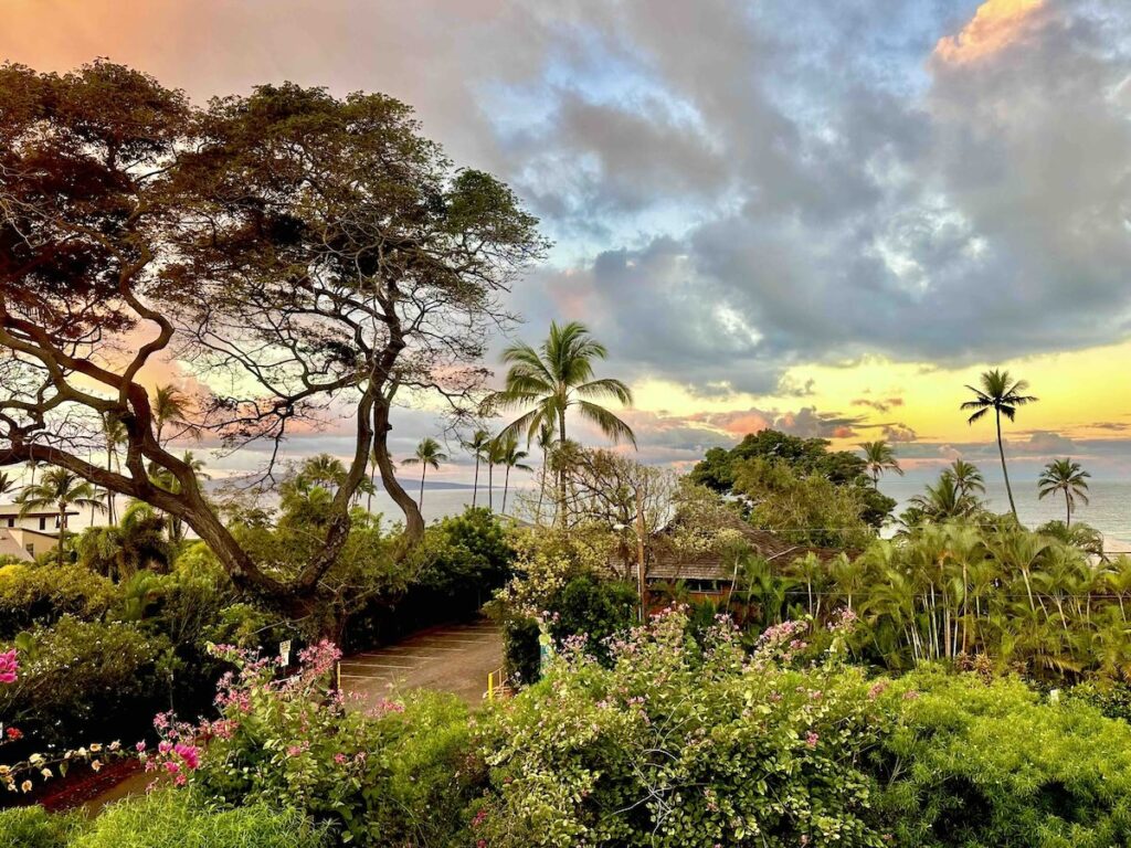 Scenic view from our condo at the Wailea Ekahi Village with vibrant greenery, blooming flowers, and tall palm trees, set against a colorful sunset sky overlooking the ocean.