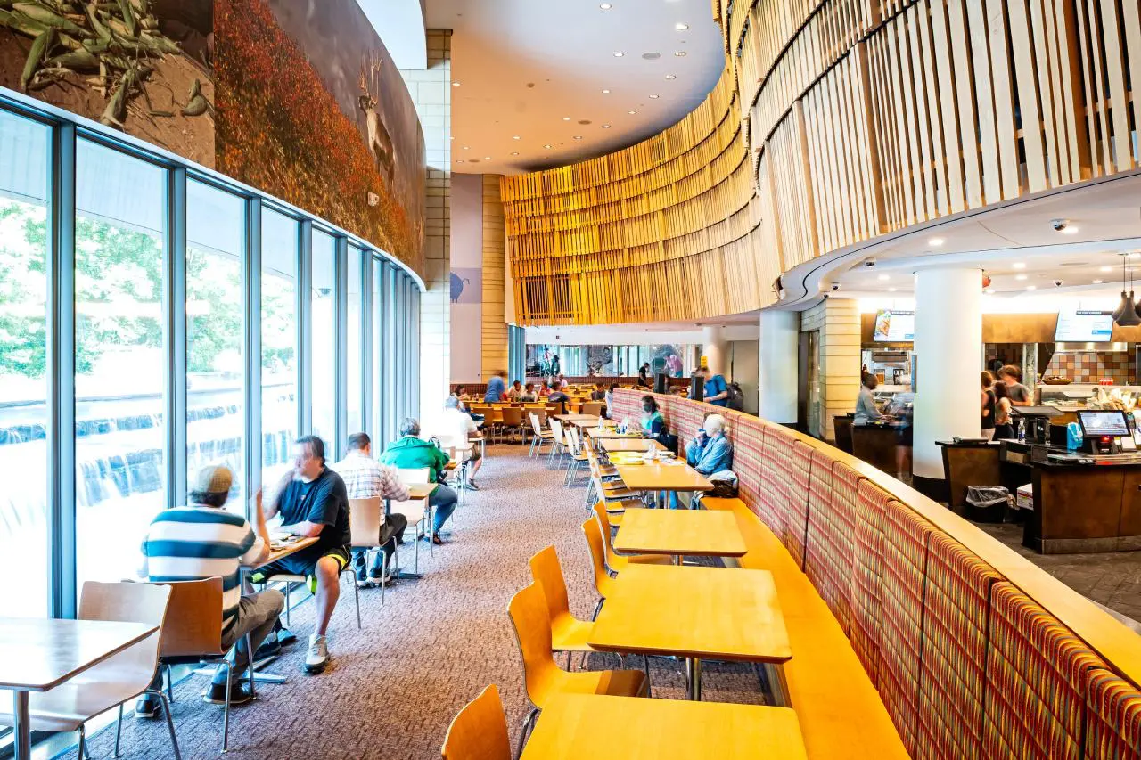 Mitsitam Native Foods Cafe dining area with floor-to-ceiling windows, wooden tables, and a curved architectural design, filled with people enjoying their meals. Family Friendly restaurants in Washington DC  