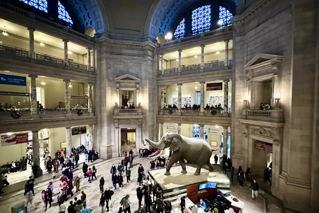 Interior view of the Smithsonian Museum of Natural History, featuring the iconic elephant statue.