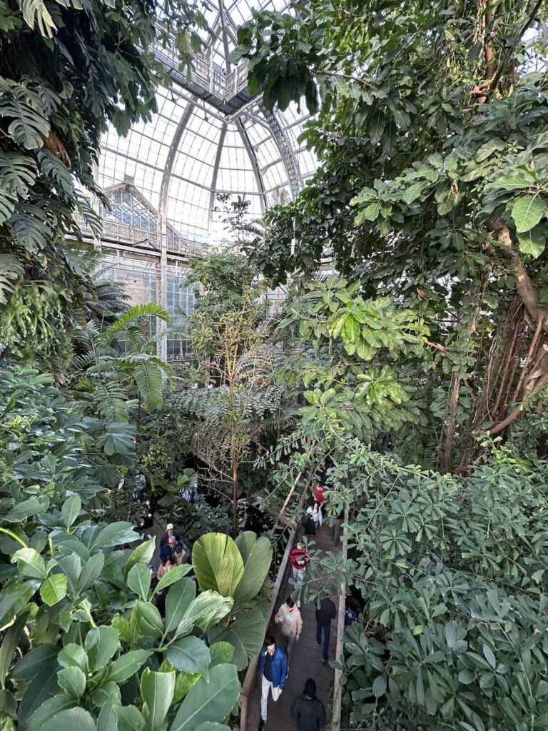 Virginia Haldan Tropical House at the US Botanical Garden