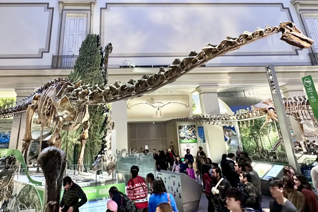 A massive dinosaur skeleton with a long neck and tail is displayed in a museum, surrounded by informational panels and a crowd of visitors admiring the exhibit.