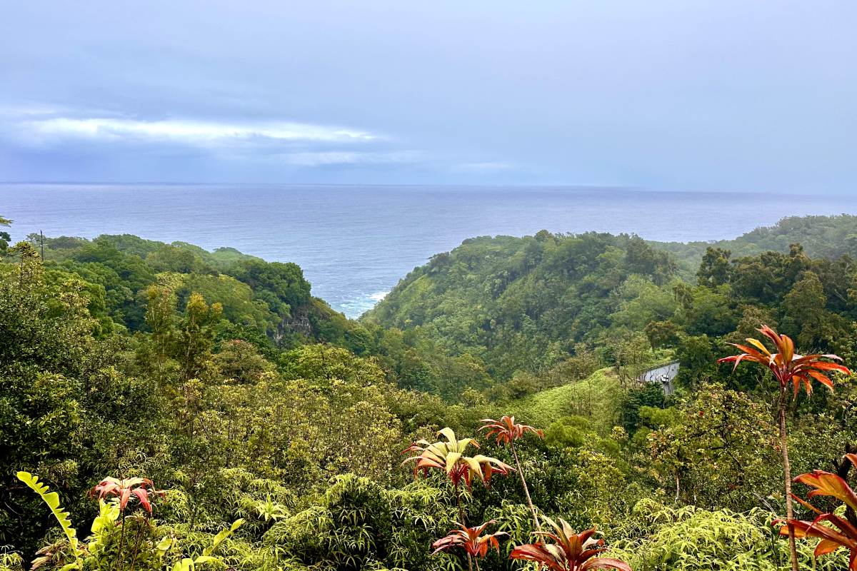 Panoramic view of the lush green valley and the ocean in the distance, with tropical plants and a misty horizon at the Garden of Eden.