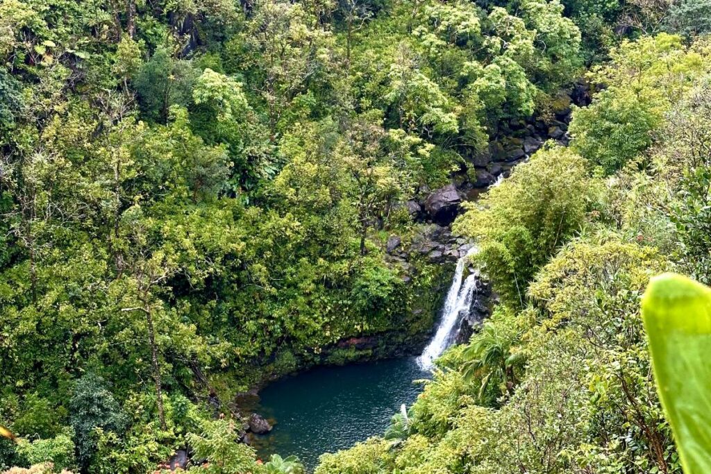 Close-up view of a small waterfall flowing into a pool surrounded by dense green foliage and trees in the Garden of Eden Arboretum.