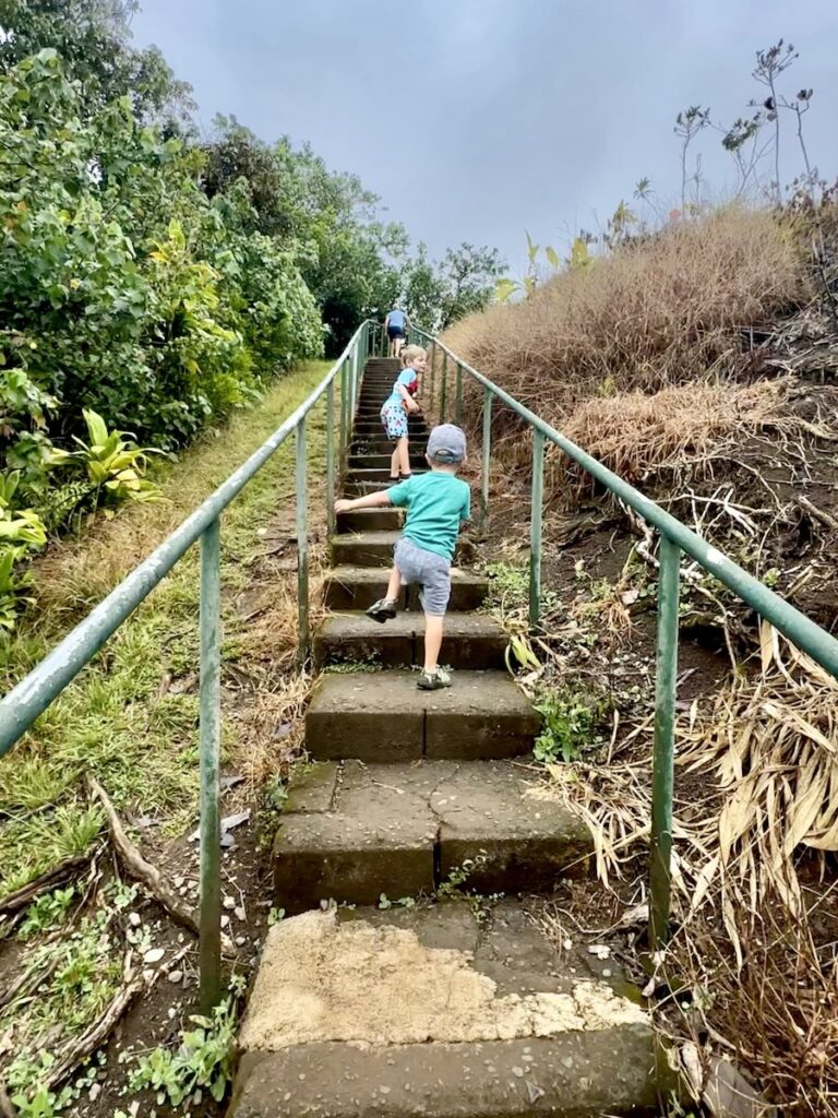 Wailua Valley State Wayside – Mile Marker #18