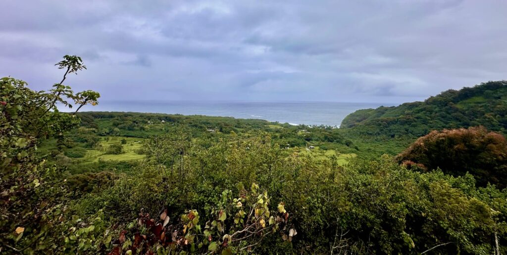 Wailua Valley State Wayside – Mile Marker #18