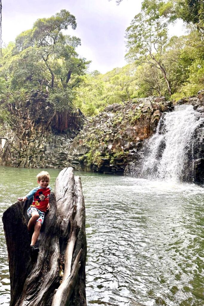 Young boy sitting on a large piece of driftwood in front of a cascading waterfall, with lush trees and rocks surrounding the green pool of water. Maui, Hawaii.