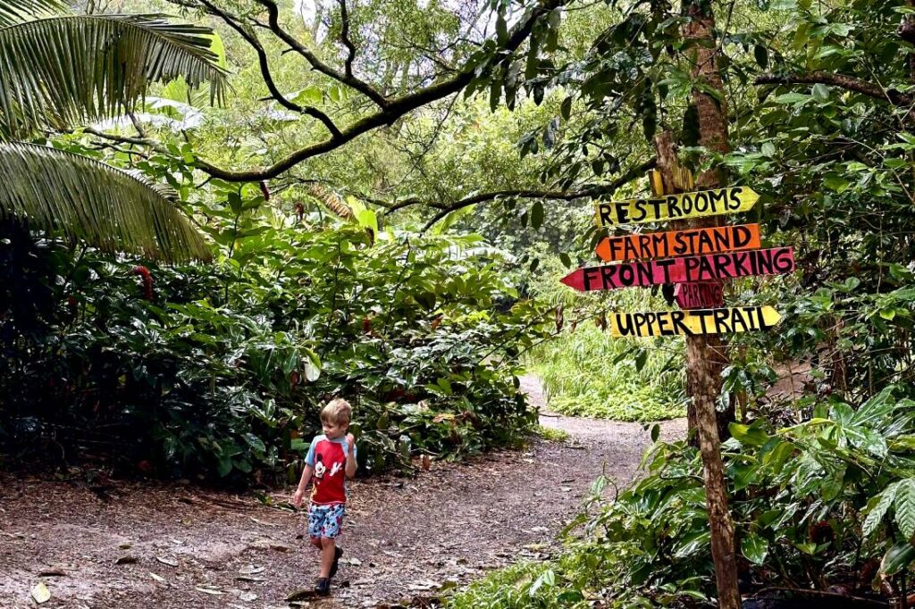 A young child in a red shirt walks along a lush jungle path, passing a colorful wooden sign pointing to restrooms, farm stand, parking, and trails. Maui, Hawaii.