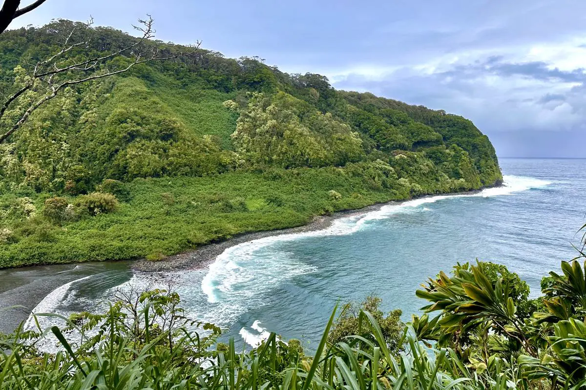A scenic coastal view of turquoise waves gently crashing against a lush green hillside, framed by tropical plants in the foreground. Maui, Hawaii.