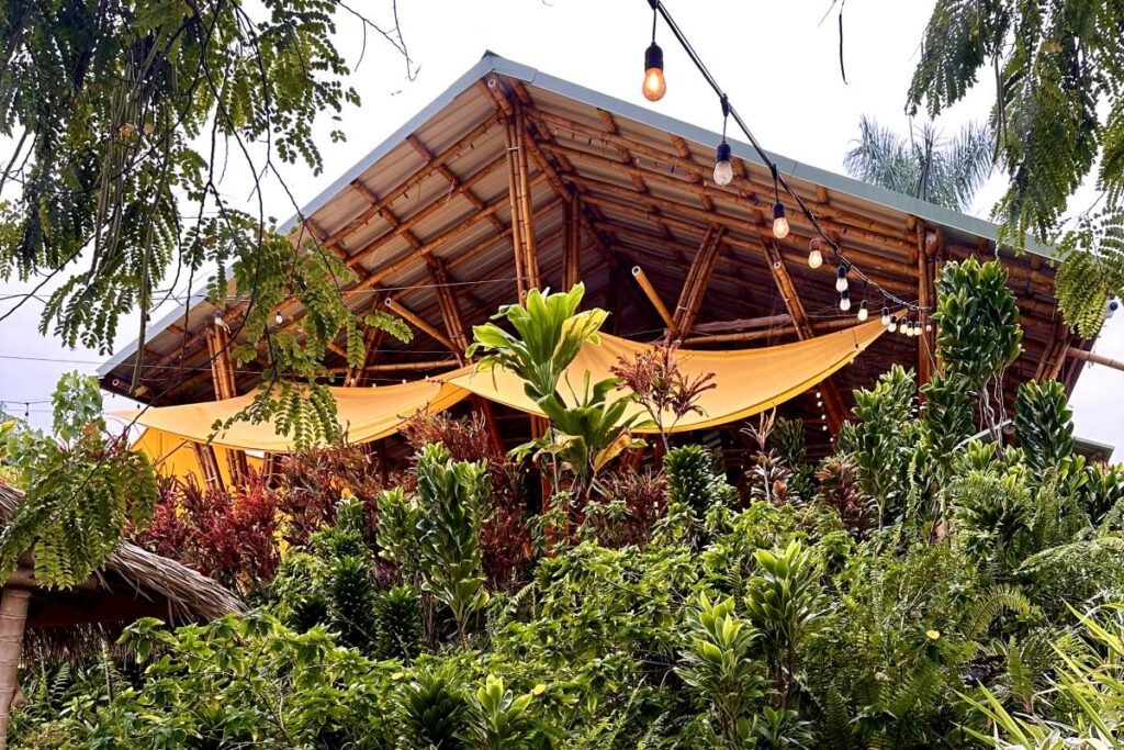 A bamboo and wooden structure with yellow fabric shades and string lights, surrounded by lush green plants and tropical trees. Maui, Hawaii.