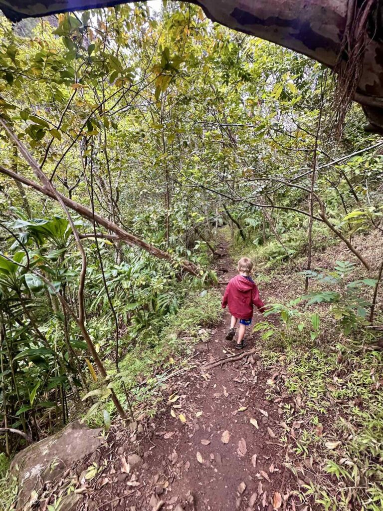 Visiting Maui's Sacred ʻĪao Valley with Kids Mari on the Map