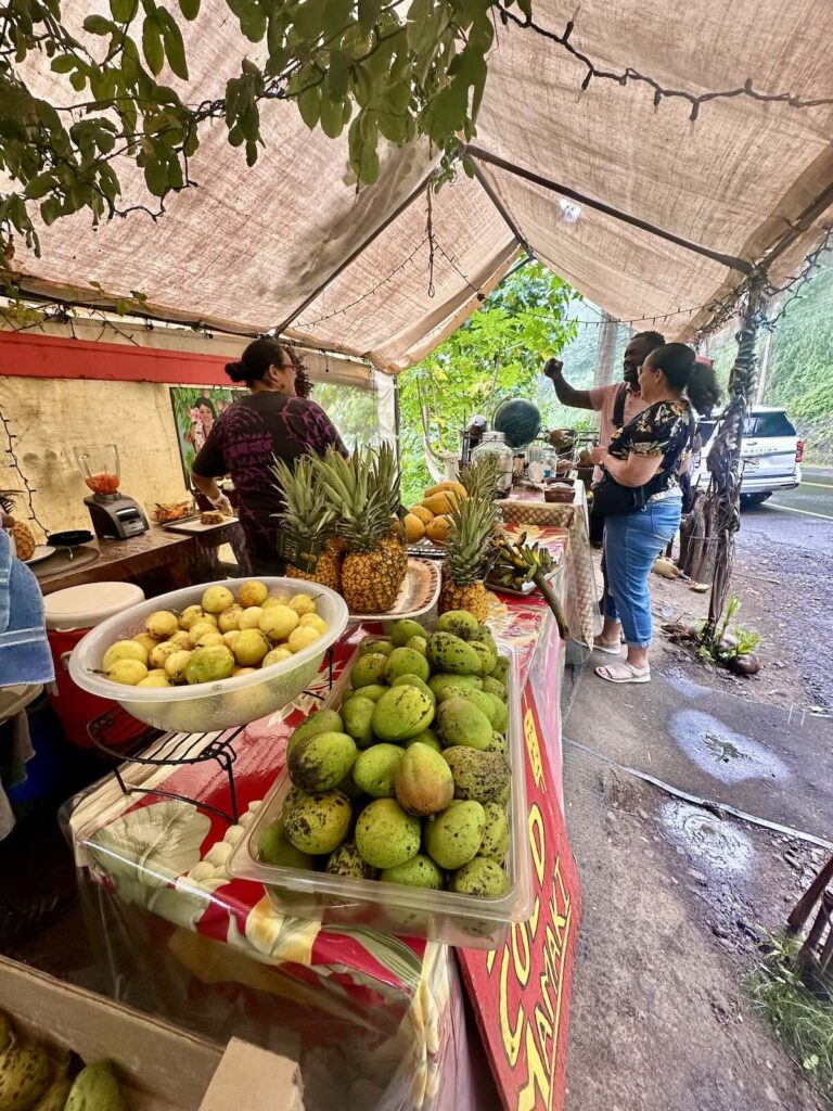 Visiting Maui's Sacred ʻĪao Valley with Kids Mari on the Map