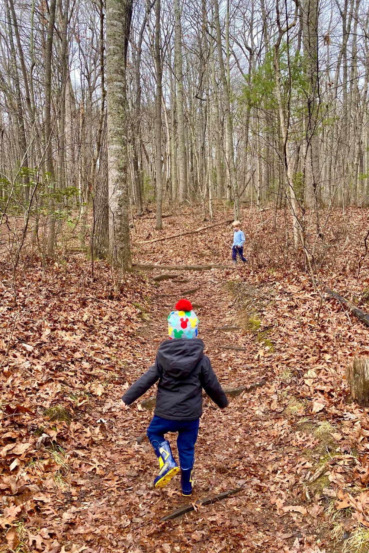 Two young children walk up a forest trail in autumn. One wears a colorful winter hat and rain boots while the ground is blanketed in fallen leaves.