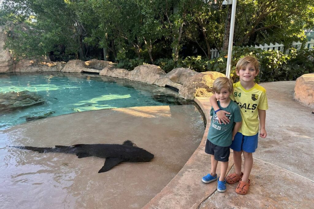 Two young brothers standing next to a nurse shark gliding through the shallow water at the Baha Mar Sanctuary in Nassau, Bahamas.