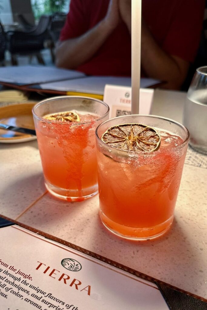 Two pink cocktails garnished with dried citrus wheels on the table at Tierra restaurant