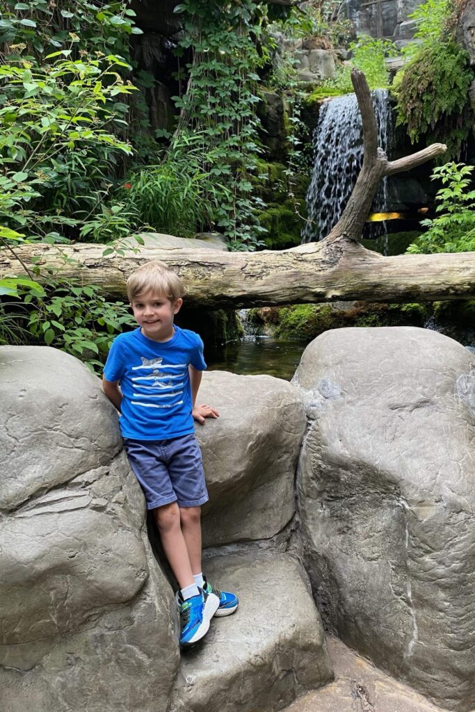 Young boy standing among large boulders near a waterfall on a Chattanooga with kids trip