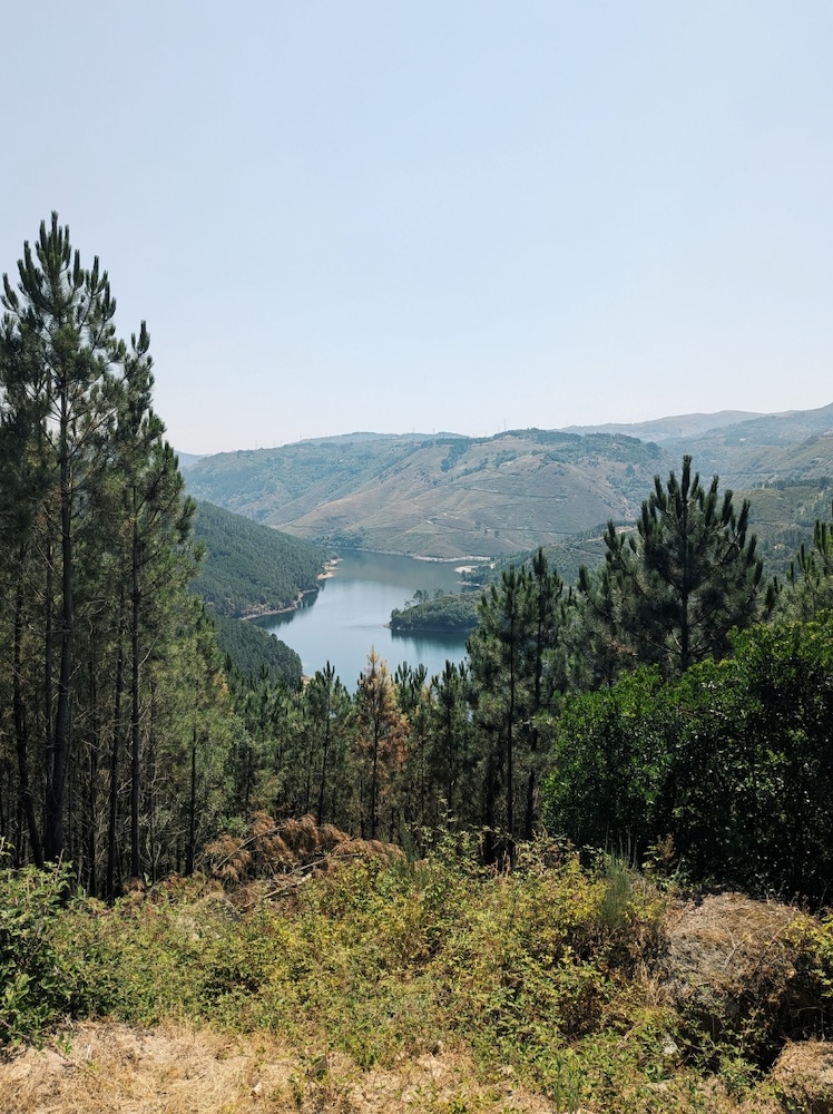 Northern Portugal With Kids: Porto, the Douro Valley & Gerês: Your Perfect Family Weekend - Mari on the Map