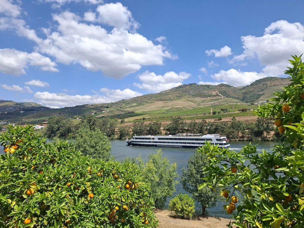 Northern Portugal With Kids: Porto, the Douro Valley & Gerês: Your Perfect Family Weekend - Mari on the Map