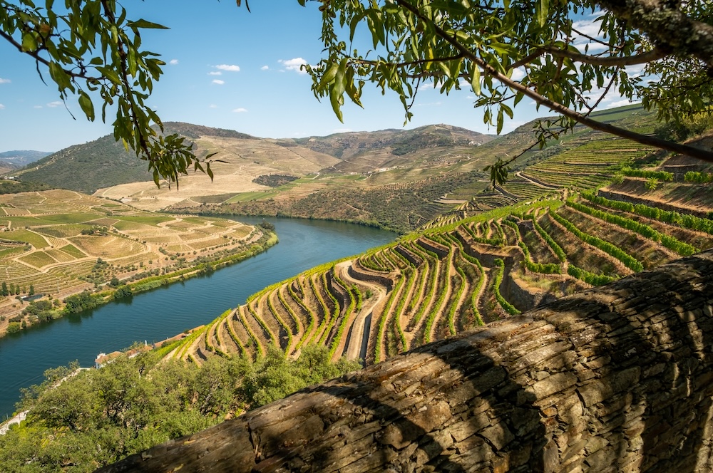 Northern Portugal With Kids: Porto, the Douro Valley & Gerês: Your Perfect Family Weekend - Mari on the Map