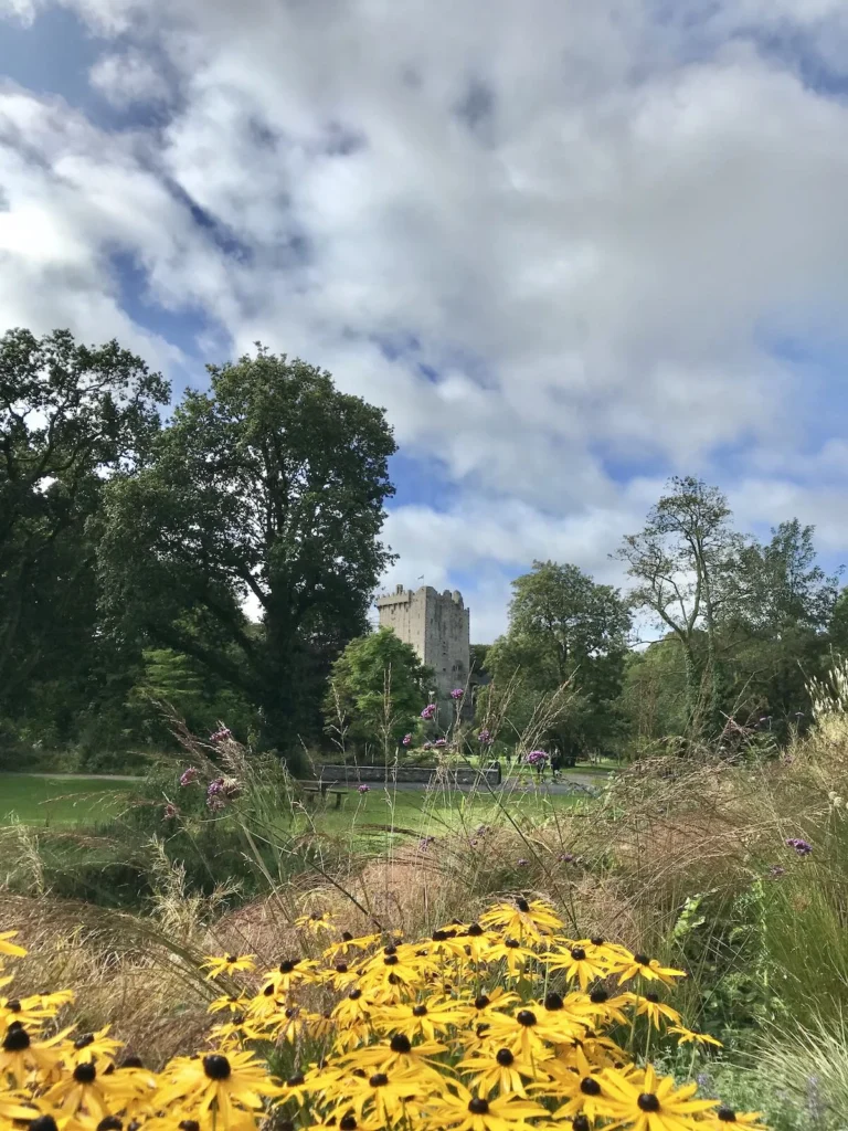 Blarney Castle Ireland - Mari on the Map