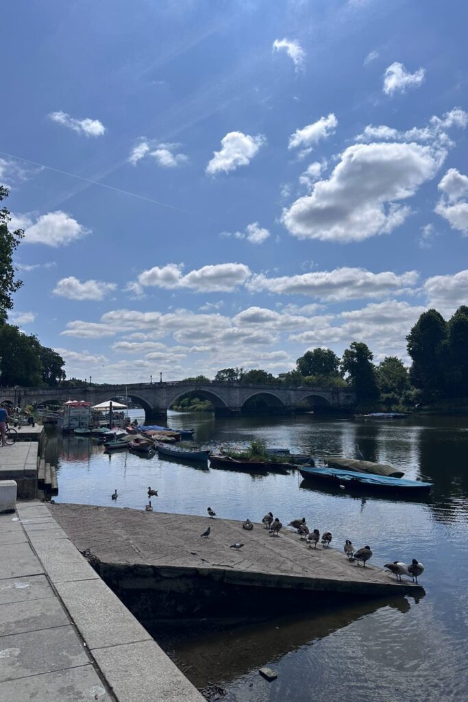 Richmond Bridge over the River Thames with moored rowing boats and ducks resting on the slipway