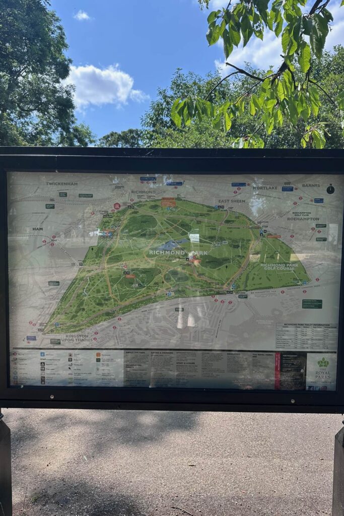 Richmond Park map board at Richmond Gate showing trails, gates, cafes and toilet locations
