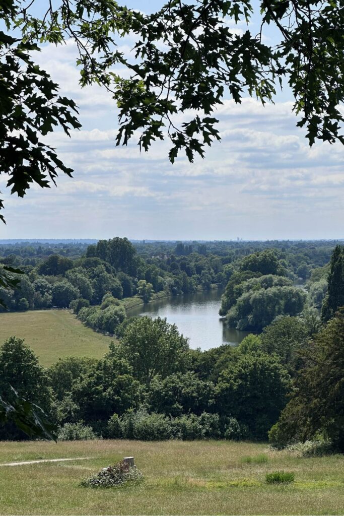 Protected Richmond Hill view over the Thames, meadows and woodland on a bright June afternoon