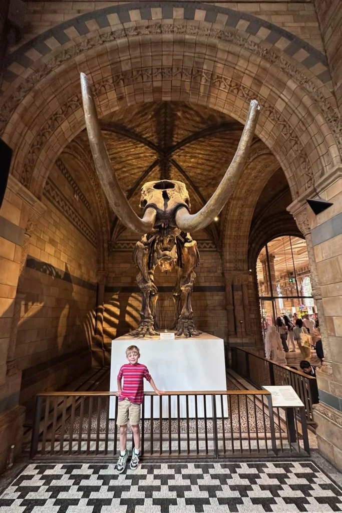 Boy in front of a mammoth skeleton with huge curved tusks at the Natural History Museum.