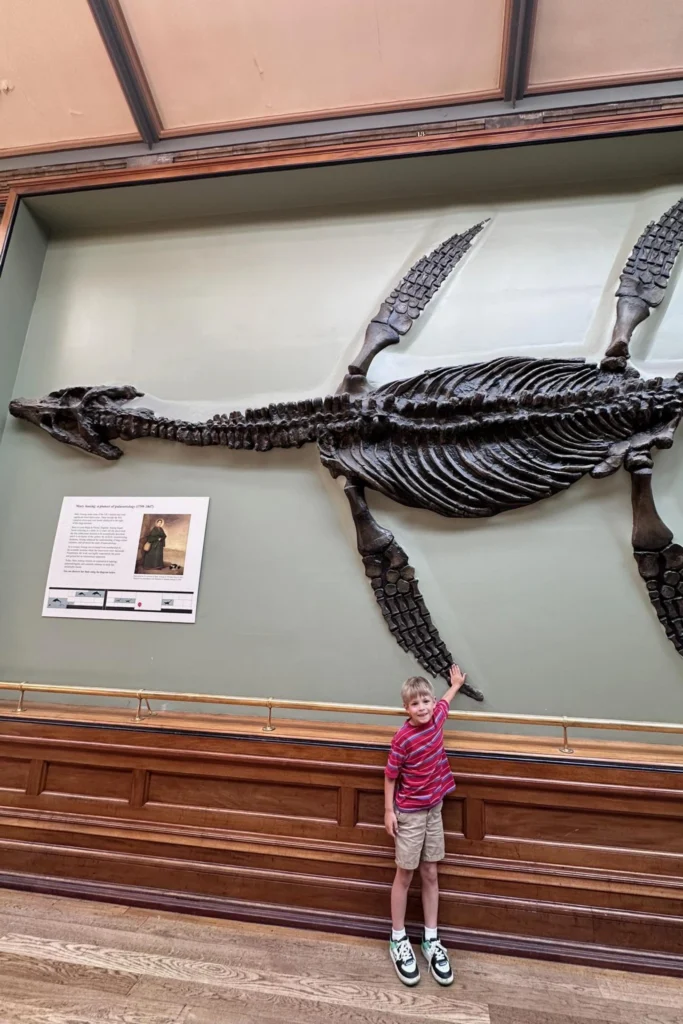 Boy reaching up toward a plesiosaur fossil mounted on the wall in the Natural History Museum's Mary Anning display.